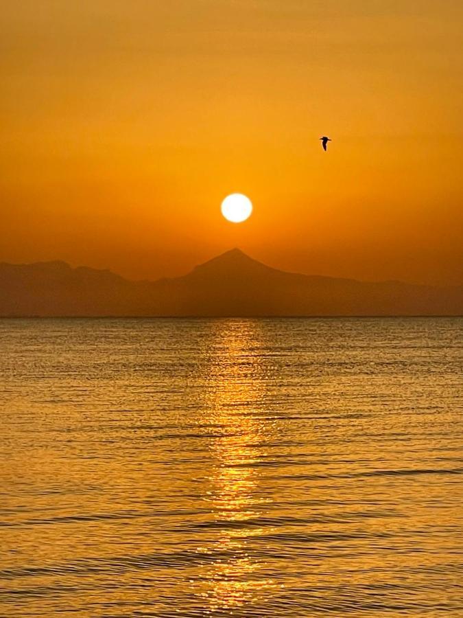 Apartament Rosaleda 1 Denia Zewnętrze zdjęcie